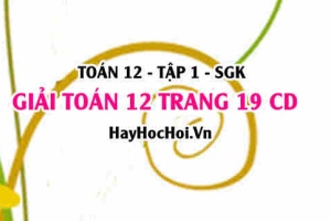 Giải Toán 12 trang 19 tập 1 Cánh Diều